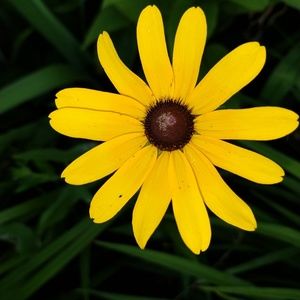 Meet your Posher, Charline